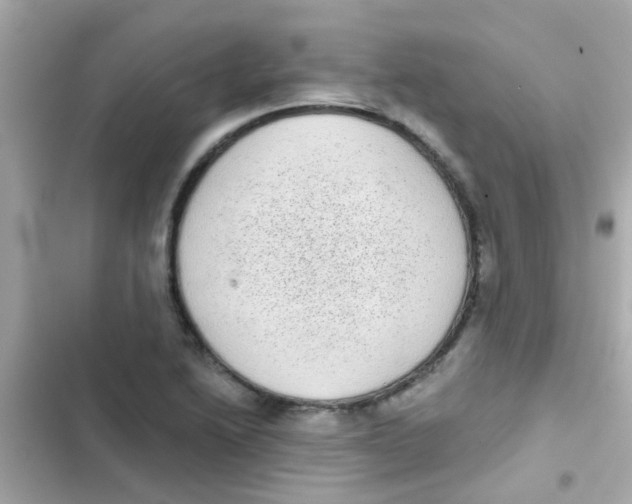 X0000103151222200809192021