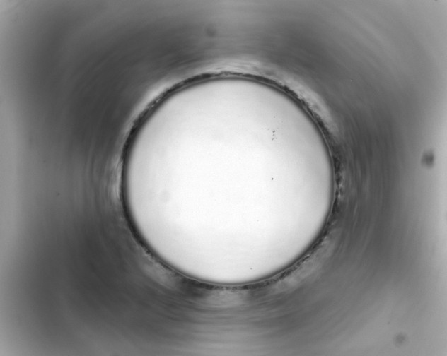 X0000103151224200809192021