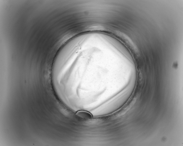 X0000103151225200809192021