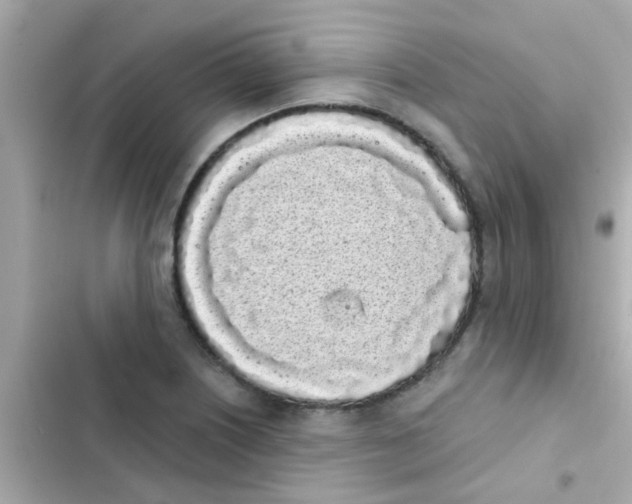 X0000103151226200809192021