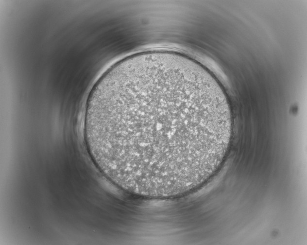 X0000103151228200809192021