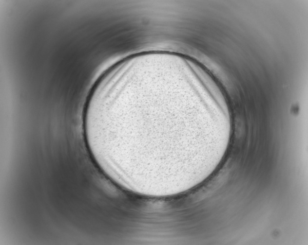 X0000103151230200809192021