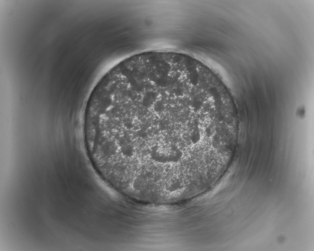 X0000103151231200809192021