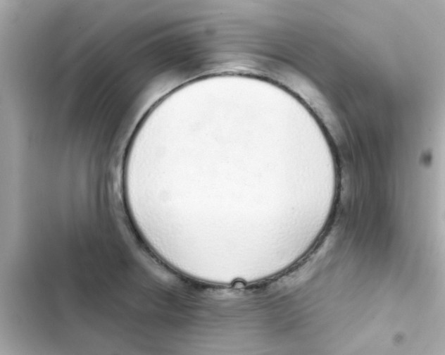 X0000103151234200809192021