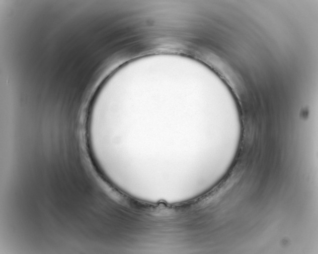 X0000103151235200809192021