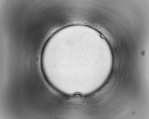 X0000103151237200809192021