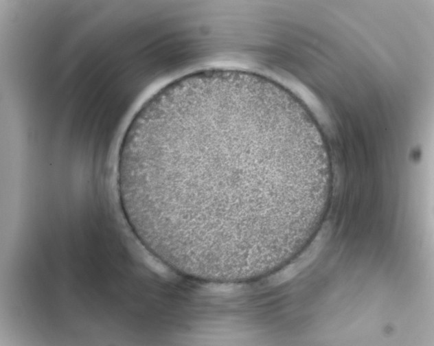 X0000103151240200809192021