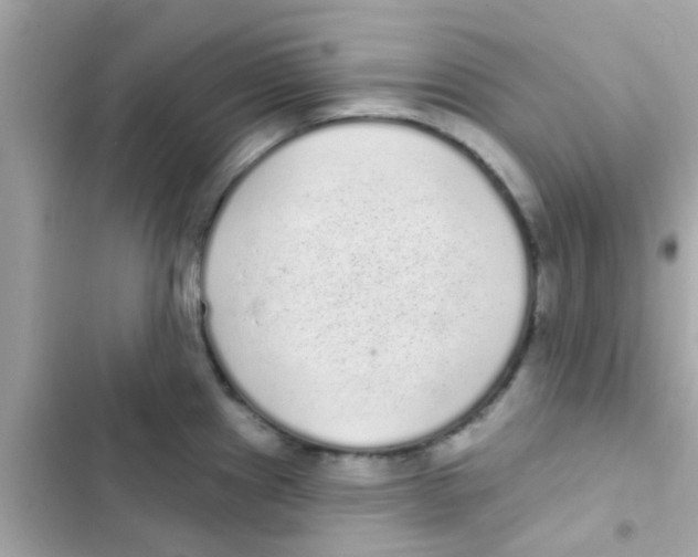 X0000103151241200809192022