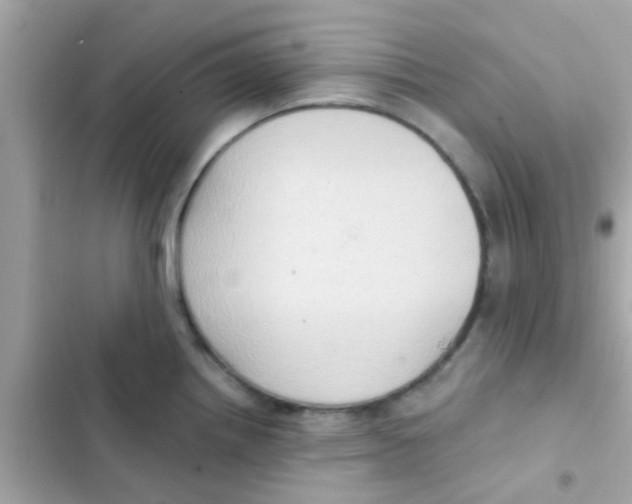 X0000103151242200809192022