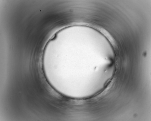 X0000103151244200809192022