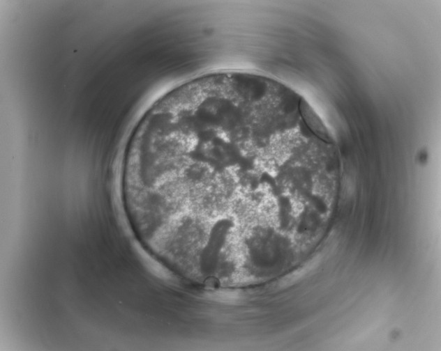 X0000103151245200809192022