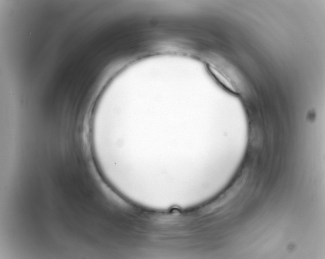 X0000103151247200809192022