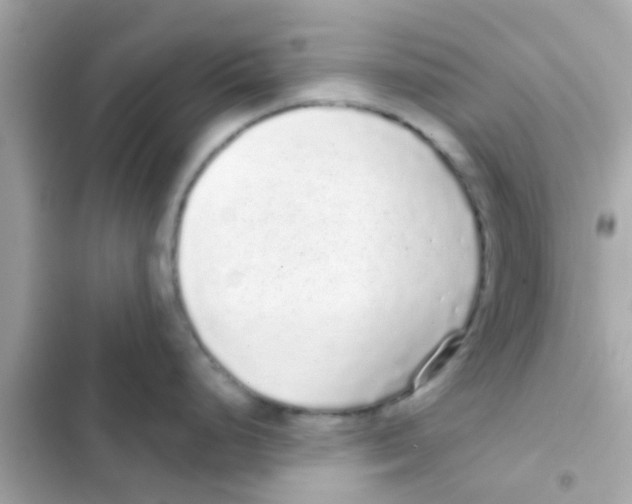 X0000103151248200809192022