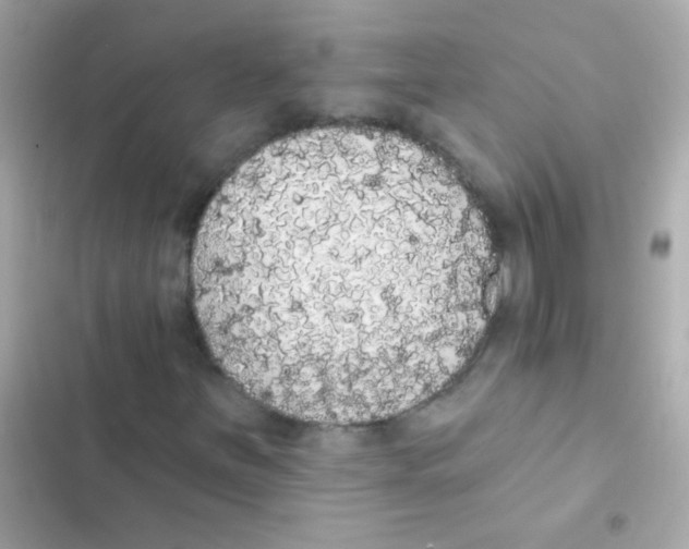 X0000103151251200809192021