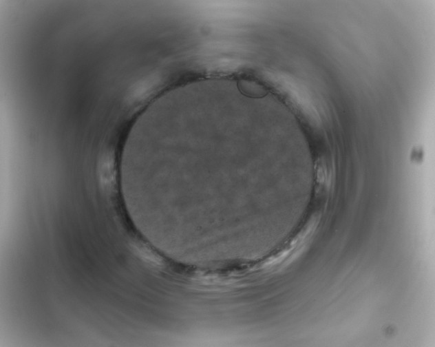 X0000103151252200809192021