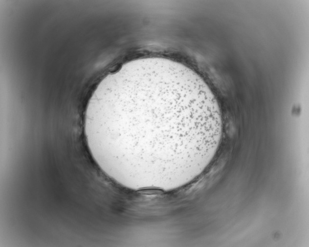 X0000103151253200809192021