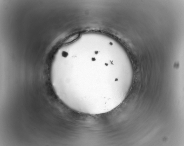 X0000103151255200809192021