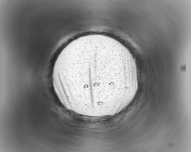 X0000103151256200809192021