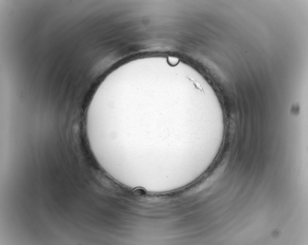 X0000103151257200809192021