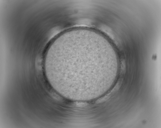 X0000103151258200809192021