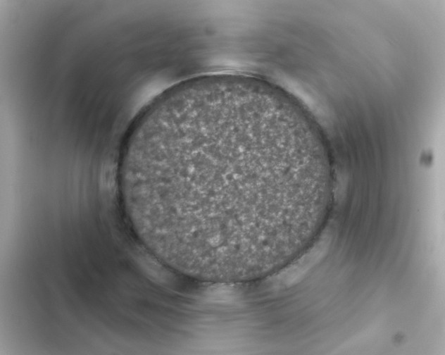 X0000103151259200809192021