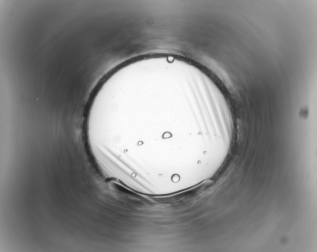 X0000103151260200809192021