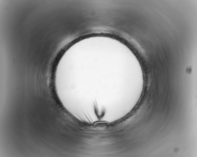 X0000103151261200809192021