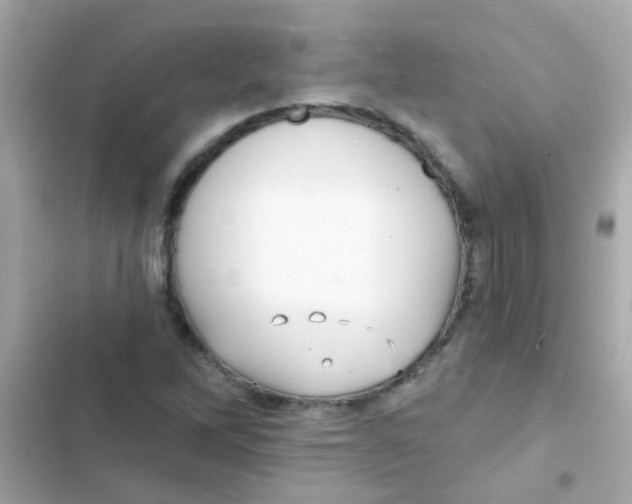 X0000103151262200809192021