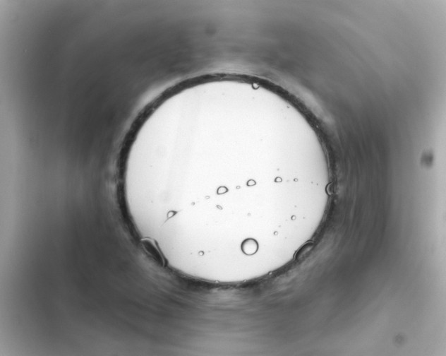 X0000103151264200809192021