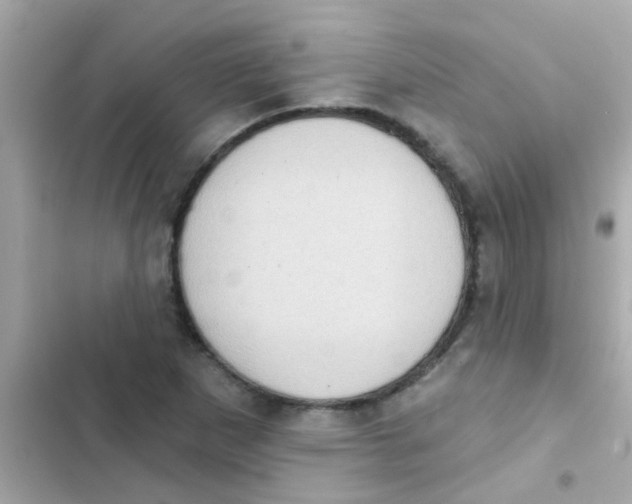 X0000103151265200809192021