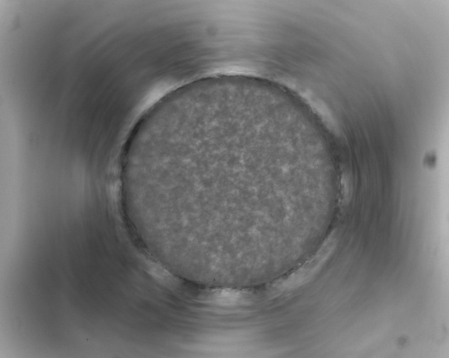 X0000103151266200809192021