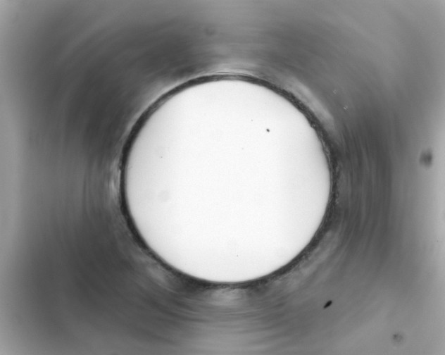 X0000103151268200809192021