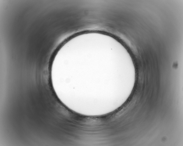 X0000103151270200809192020