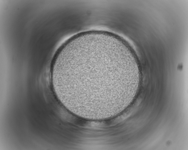 X0000103151271200809192020