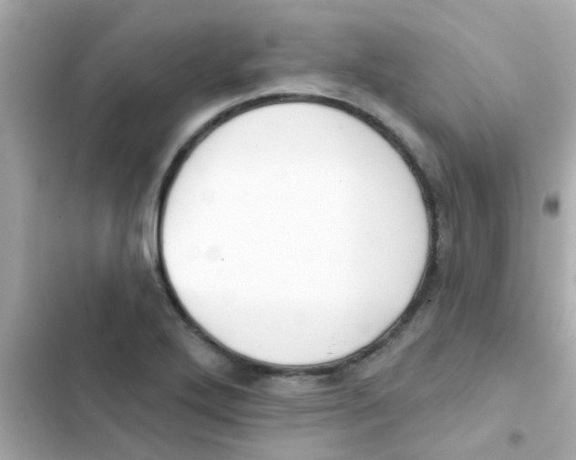 X0000103151272200809192020