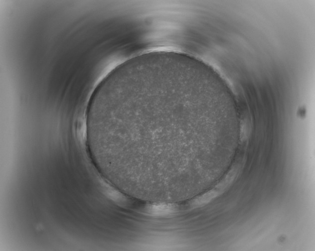 X0000103151274200809192020