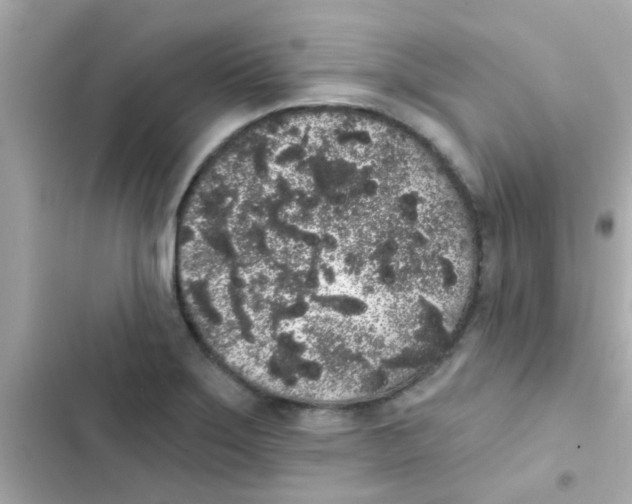 X0000103151275200809192020