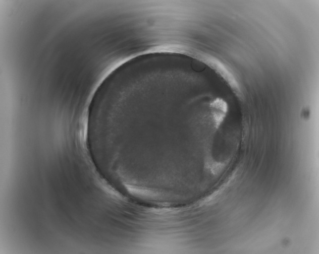 X0000103151276200809192020