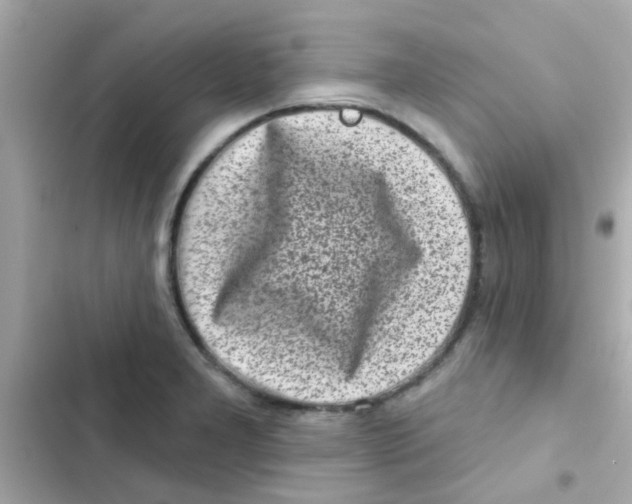 X0000103151277200809192020