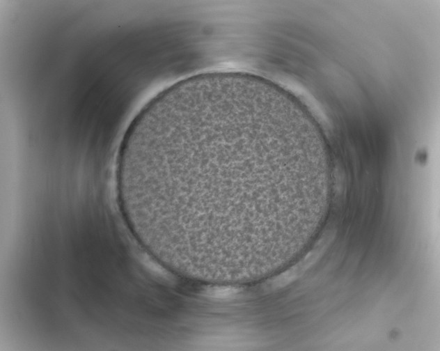 X0000103151278200809192020