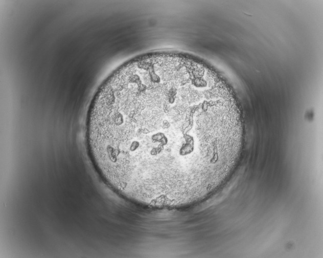 X0000103151279200809192020