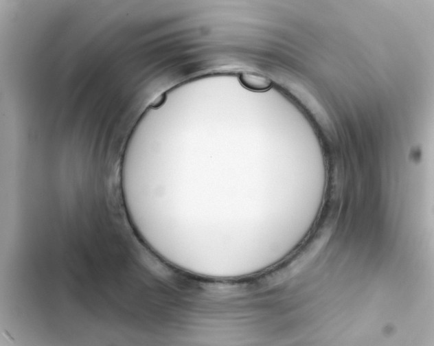 X0000103151281200809192020