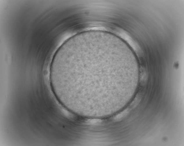 X0000103151282200809192020