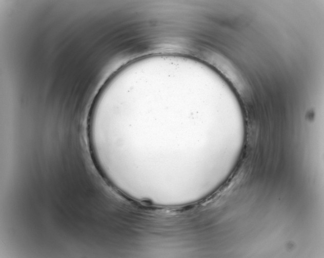 X0000103151283200809192020