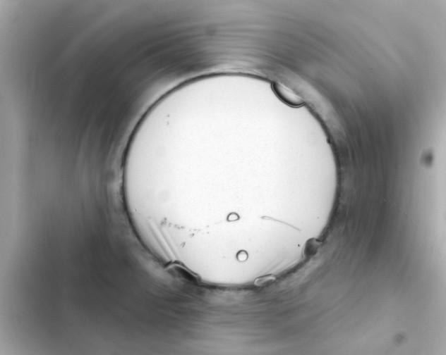 X0000103151284200809192020