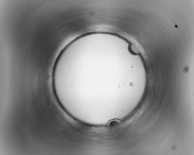 X0000103151285200809192020