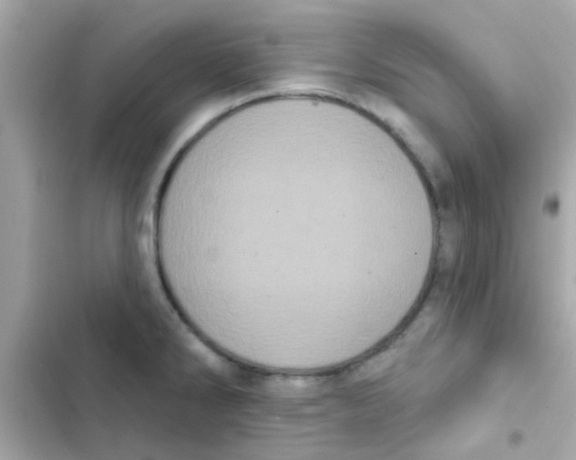 X0000103151286200809192020