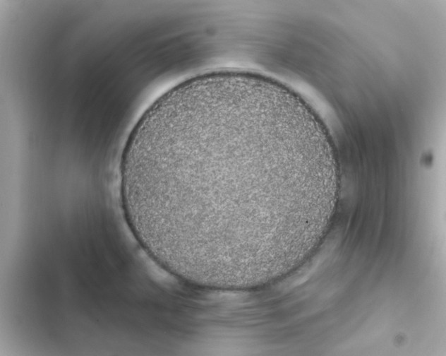 X0000103151287200809192020