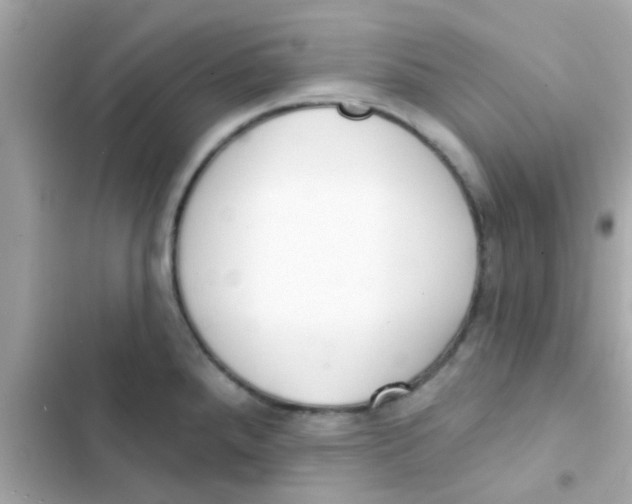 X0000103151288200809192020