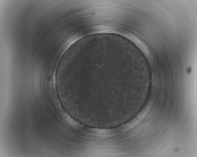 X0000103151289200809192020